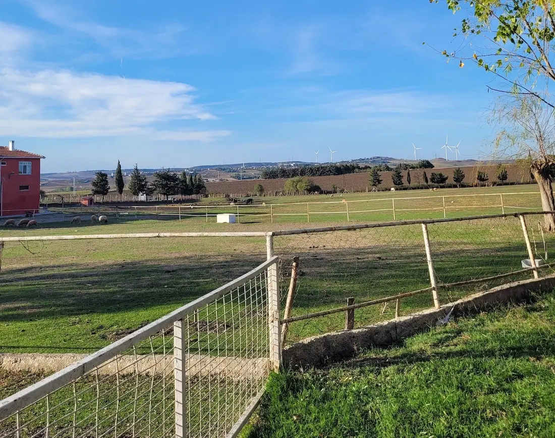 Silivri farm for sale